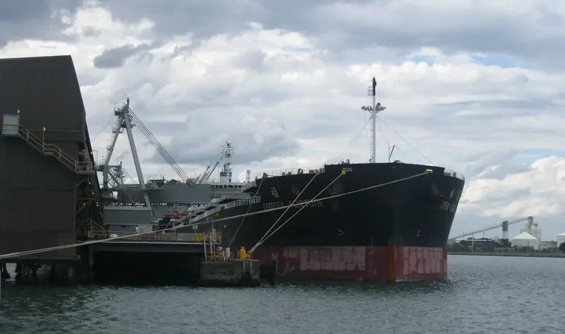 CEMTEX FORTUNE Bulk Carrier IMO 9727106