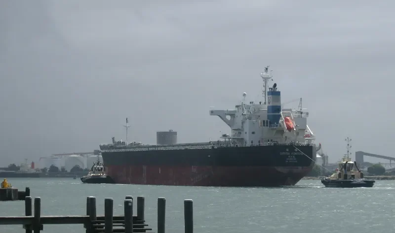 CEMTEX FORTUNE Bulk Carrier IMO 9727106 photo 2