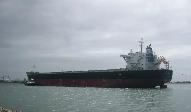 CEMTEX FORTUNE Bulk Carrier IMO 9727106 photo 3