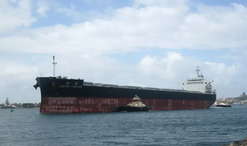 CEMTEX FORTUNE Bulk Carrier IMO 9727106 photo 5