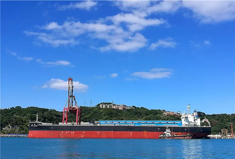 CEMTEX FORTUNE Bulk Carrier IMO 9727106 photo 6