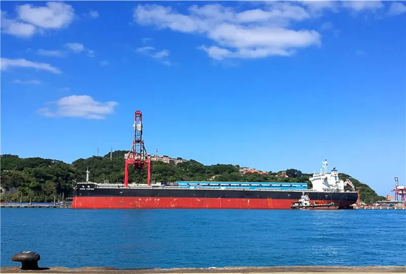 CEMTEX FORTUNE Bulk Carrier IMO 9727106 photo 7