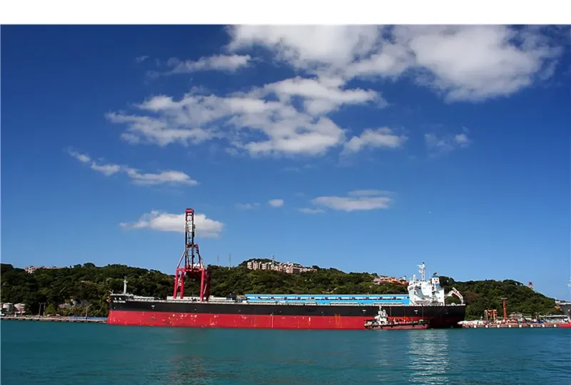 CEMTEX FORTUNE Bulk Carrier IMO 9727106 photo 8