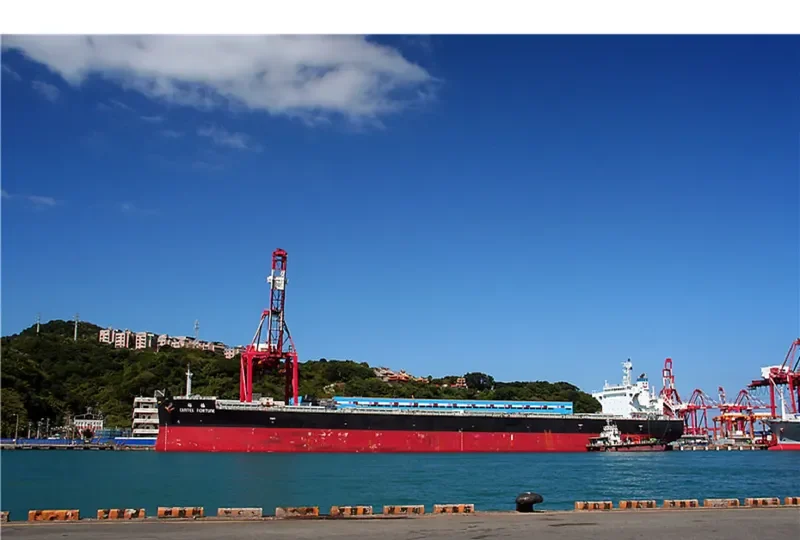 CEMTEX FORTUNE Bulk Carrier IMO 9727106 photo 9