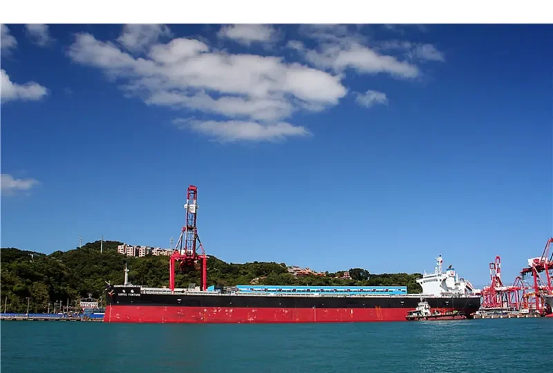 CEMTEX FORTUNE Bulk Carrier IMO 9727106 photo 10