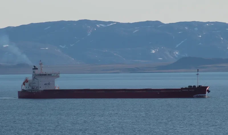 NORDIC OASIS Bulk Carrier IMO 9727120 photo 7