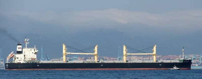 TAI SPLENDOR Bulk Carrier IMO 9727132