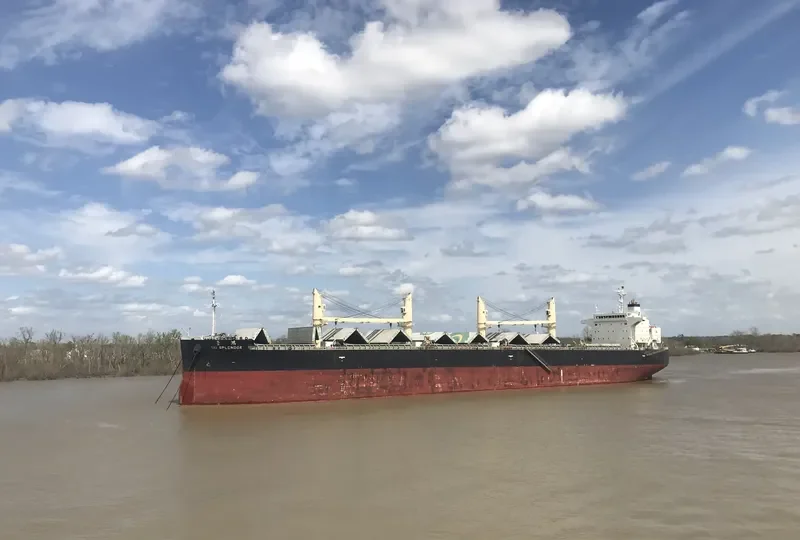 TAI SPLENDOR Bulk Carrier IMO 9727132 photo 3