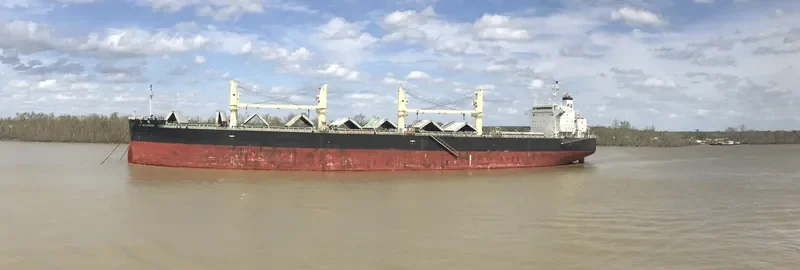 TAI SPLENDOR Bulk Carrier IMO 9727132 photo 4