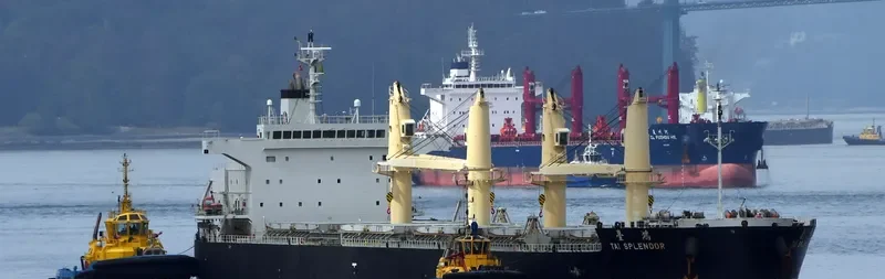 TAI SPLENDOR Bulk Carrier IMO 9727132 photo 7