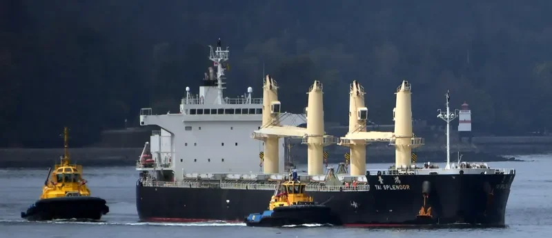 TAI SPLENDOR Bulk Carrier IMO 9727132 photo 8