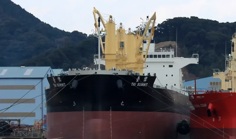TAI SUMMIT Bulk Carrier IMO 9727144 photo 3