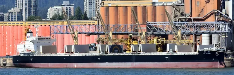 TAI SUMMIT Bulk Carrier IMO 9727144 photo 5