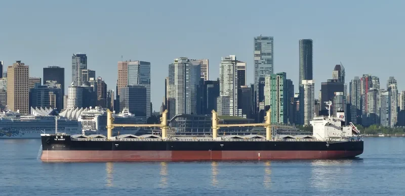 TAI SUMMIT Bulk Carrier IMO 9727144 photo 6