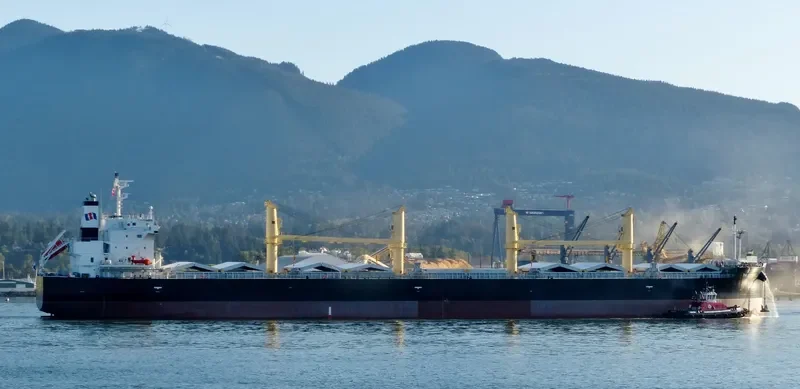 TAI SUMMIT Bulk Carrier IMO 9727144 photo 7