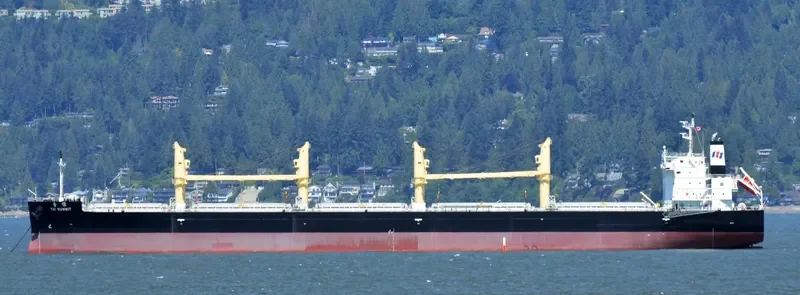 TAI SUMMIT Bulk Carrier IMO 9727144 photo 9