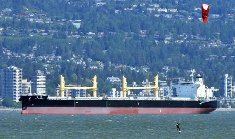 TAI SUMMIT Bulk Carrier IMO 9727144 photo 10