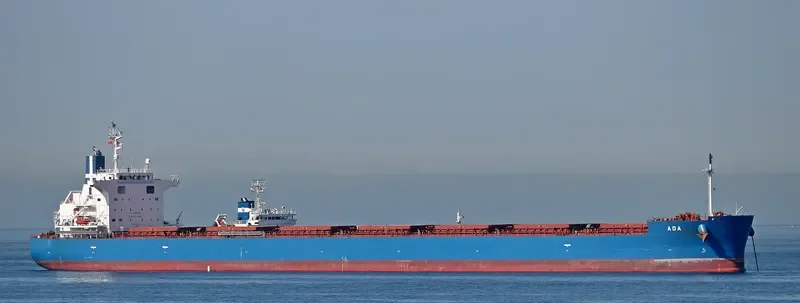 ADA Bulk Carrier IMO 9727156 photo 3