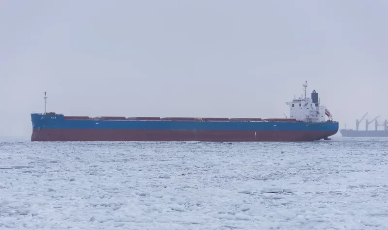 ADA Bulk Carrier IMO 9727156 photo 8