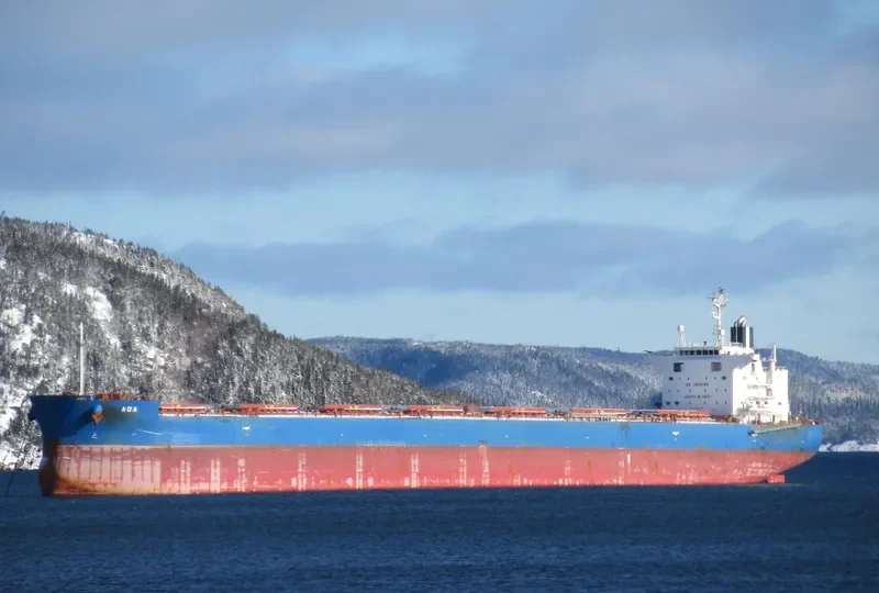 ADA Bulk Carrier IMO 9727156 photo 10