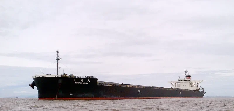 TENRYU MARU Bulk Carrier IMO 9727170