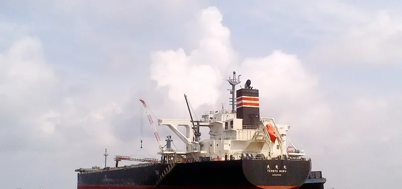 TENRYU MARU Bulk Carrier IMO 9727170 photo 2