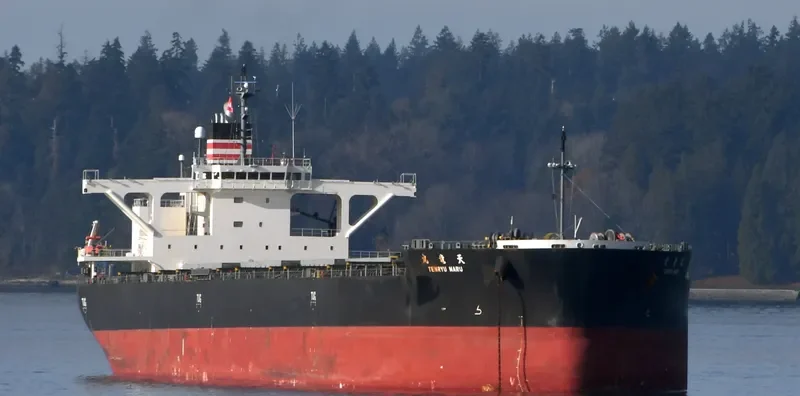 TENRYU MARU Bulk Carrier IMO 9727170 photo 10