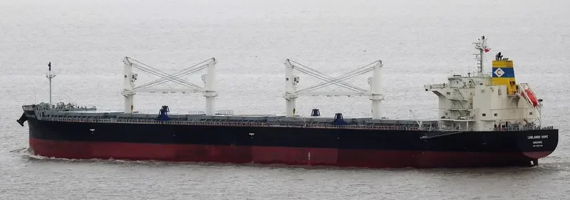 LOWLANDS HOPE Bulk Carrier IMO 9727182 photo 3