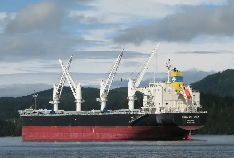 LOWLANDS HOPE Bulk Carrier IMO 9727182 photo 6