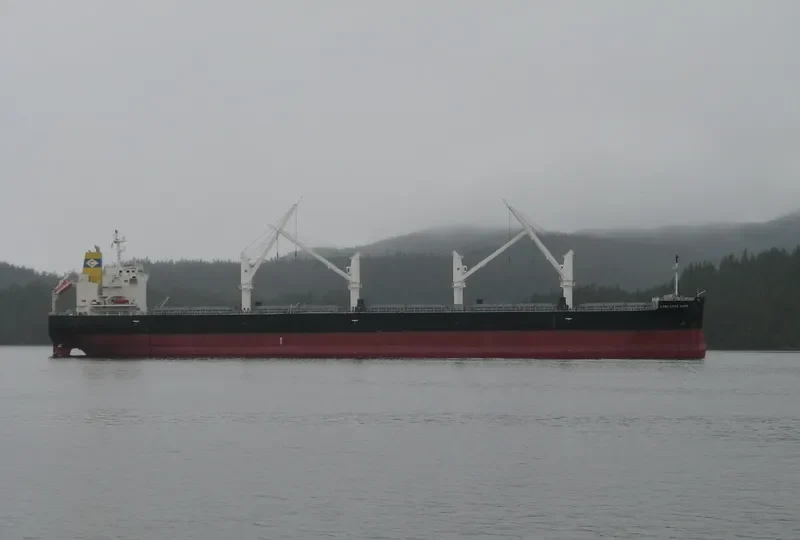 LOWLANDS HOPE Bulk Carrier IMO 9727182 photo 7