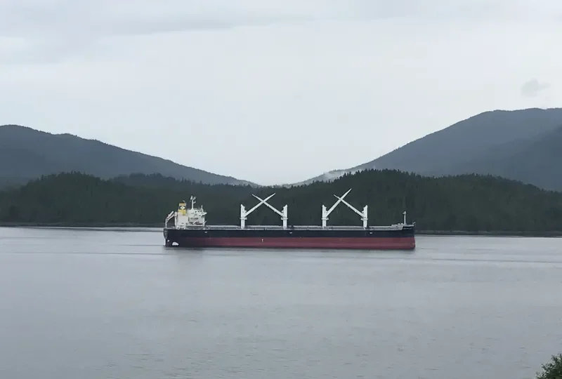 LOWLANDS HOPE Bulk Carrier IMO 9727182 photo 8