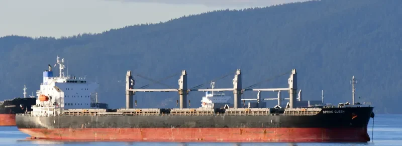 SPRING QUEEN Bulk Carrier IMO 9727273 photo 2
