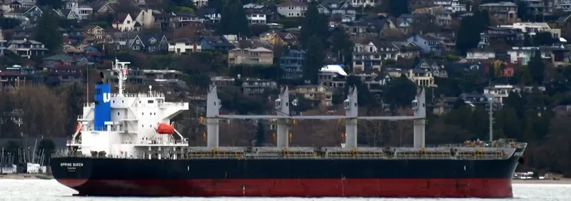 SPRING QUEEN Bulk Carrier IMO 9727273 photo 3