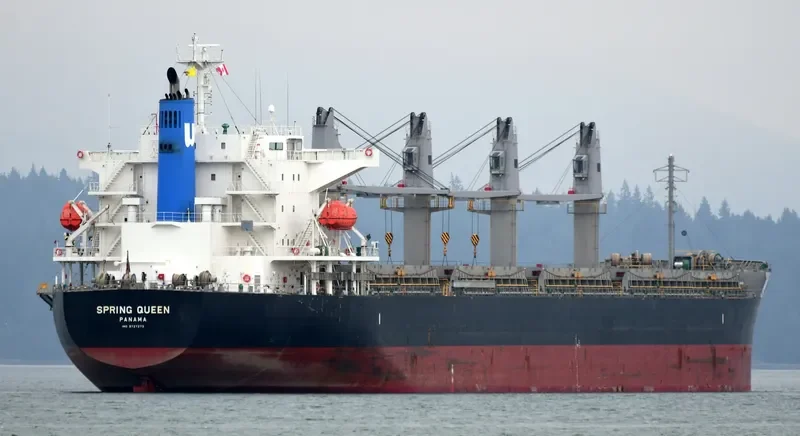 SPRING QUEEN Bulk Carrier IMO 9727273 photo 4