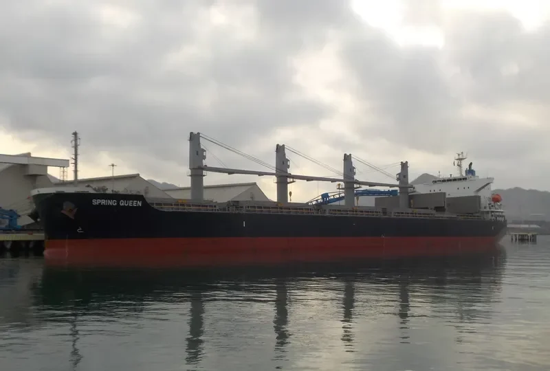 SPRING QUEEN Bulk Carrier IMO 9727273 photo 6