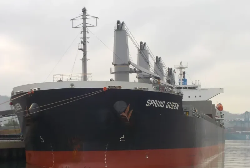SPRING QUEEN Bulk Carrier IMO 9727273 photo 7