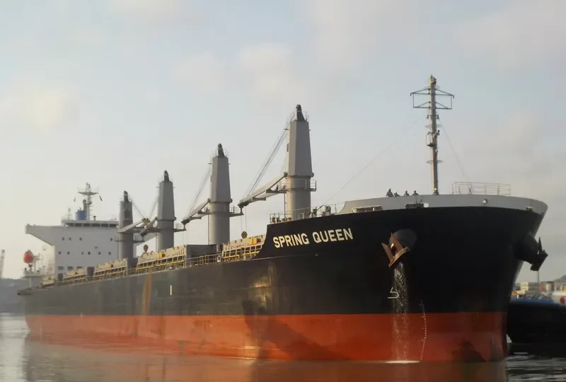 SPRING QUEEN Bulk Carrier IMO 9727273 photo 8