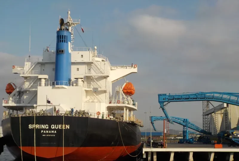 SPRING QUEEN Bulk Carrier IMO 9727273 photo 10