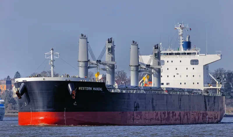 AFRICAN ARROW Bulk Carrier IMO 9727297