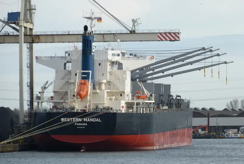 AFRICAN ARROW Bulk Carrier IMO 9727297 photo 2
