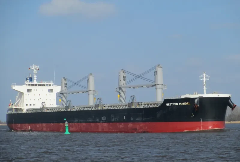 AFRICAN ARROW Bulk Carrier IMO 9727297 photo 3