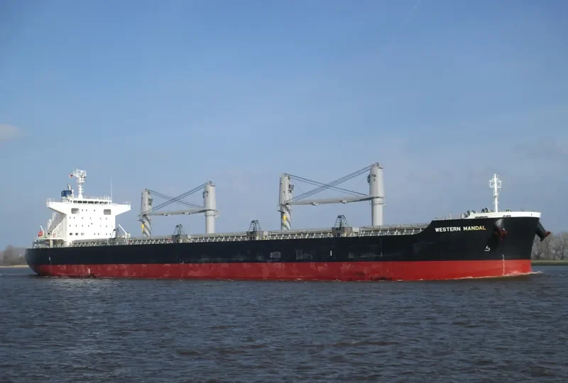AFRICAN ARROW Bulk Carrier IMO 9727297 photo 4