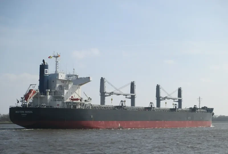 AFRICAN ARROW Bulk Carrier IMO 9727297 photo 5