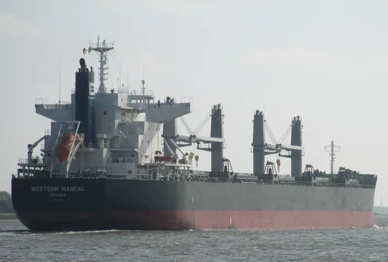 AFRICAN ARROW Bulk Carrier IMO 9727297 photo 6