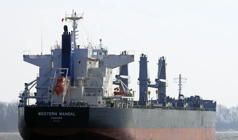 AFRICAN ARROW Bulk Carrier IMO 9727297 photo 7