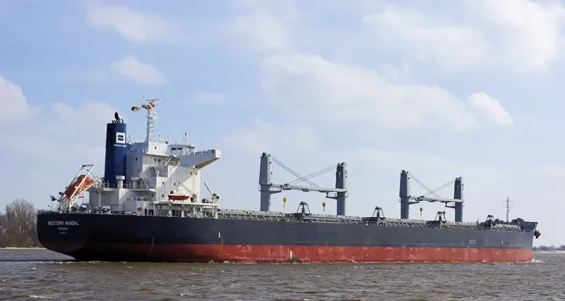 AFRICAN ARROW Bulk Carrier IMO 9727297 photo 8