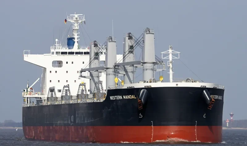 AFRICAN ARROW Bulk Carrier IMO 9727297 photo 10