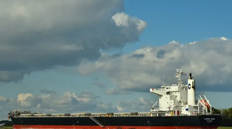 ORIENT VIOLET Bulk Carrier IMO 9727326