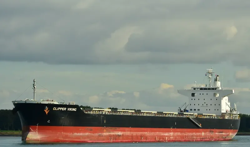 ORIENT VIOLET Bulk Carrier IMO 9727326 photo 2