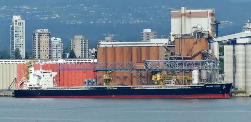 ORIENT VIOLET Bulk Carrier IMO 9727326 photo 3